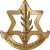 IDF_logo_footer_50x50 (1)
